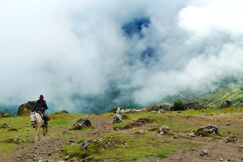 black suit, nature, person, one animal, smoke - Physical Structure, men, 2K, horse, riding, animal wildlife, domestic animals, cowboy, white horse, grasses