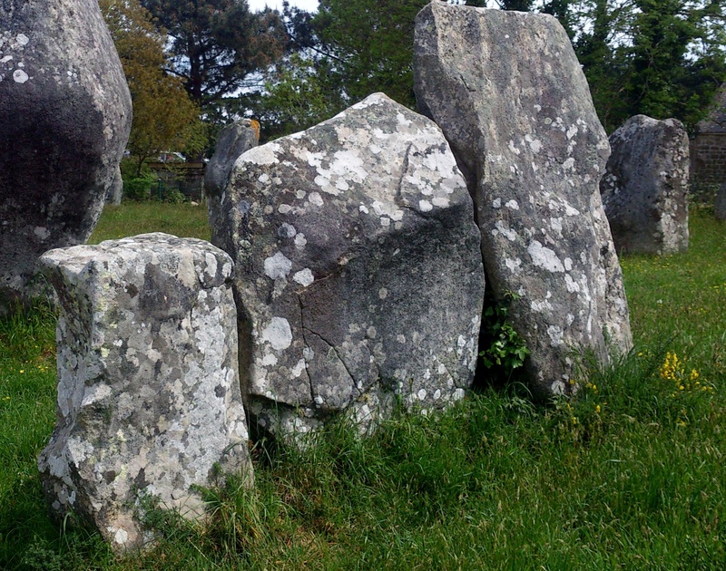 landmark, megalithic, nature, rough, growth, plant, neolithic, stone, france, no people, rock, carnac stones, 1080P, alignment, historic, sightseeing