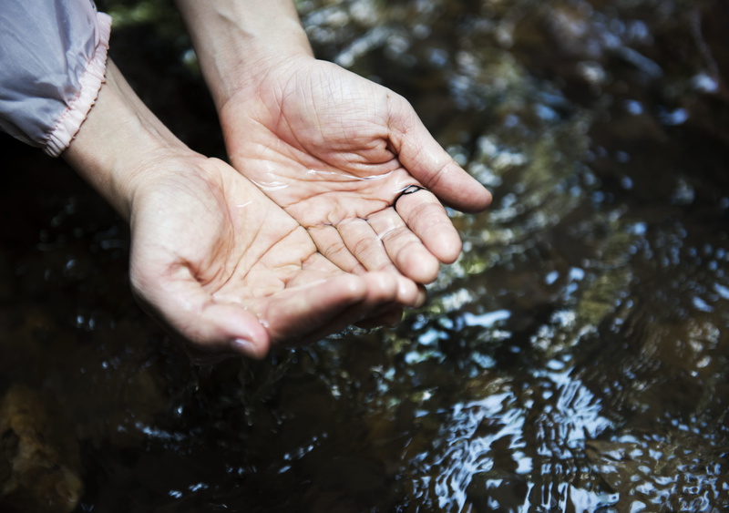 handwashing, focus on foreground, unrecognizable person, nature, focus, day, human hand, body part, hands, depth of field, clean, close, human finger, real people