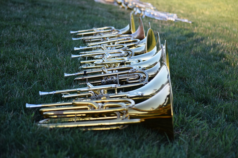 marching, horns, musical instruments, nature, still life, in a row, large group of objects, band, brass, wood - material, plant, close-up, focus on foreground