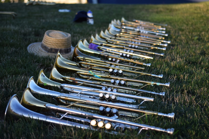 music, land, marching, field, grass, close-up, arrangement, metal, trumpet, large group of objects, no people, in a row, plant, order, musical instruments