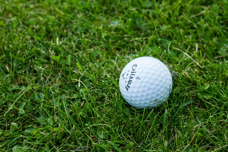 golf Course, ball, tee, focus on foreground, hole, summer, playing, recreational Pursuit, putting Green, high angle view, plant, green Color, golf, outdoors