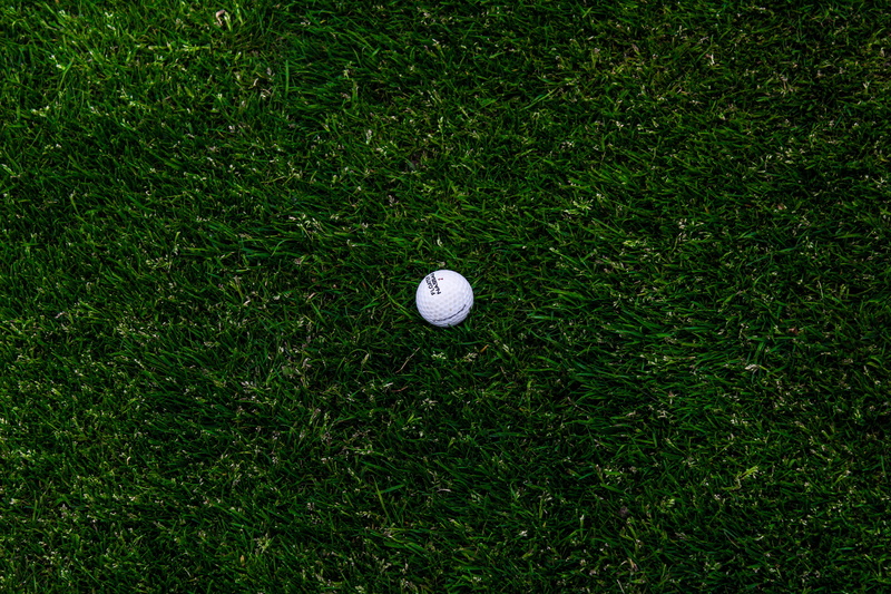 grass, nature, backgrounds, plant, high angle view, lawn, ball, day, 5K, white, relaxation, activity, sports And Fitness, green Color, tee, hole, putting