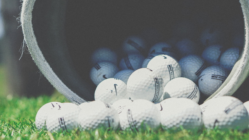 vertebrate, representation, golf Ball, human skeleton, selective focus, white, 5K, lot, blue, golf, spirituality, outdoors, sphere, nature, history, no People