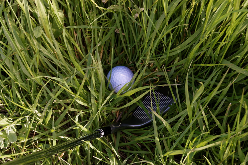 5K, fragility, club, nature, no people, outdoors, high angle view, close-up, golfer, golfing, growth, game, ground, egg, exercise, playing, grass, golf
