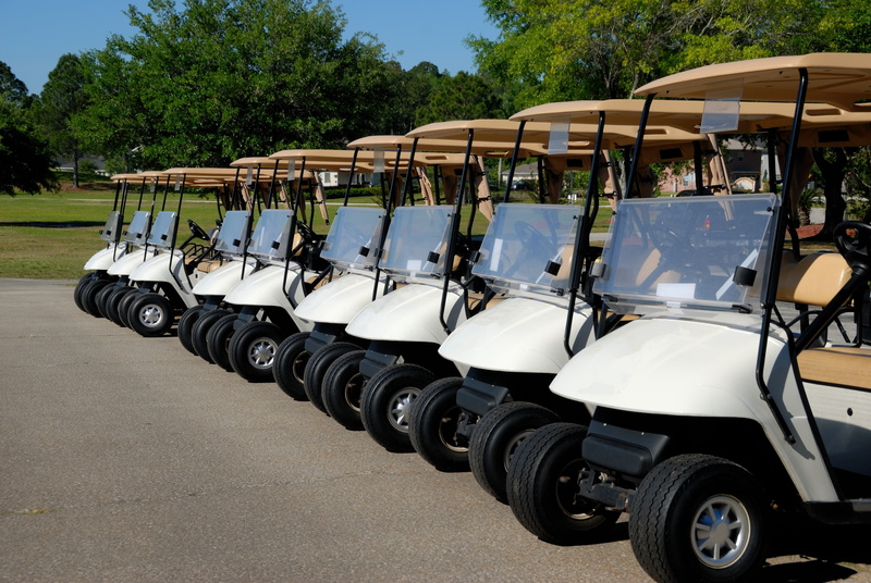 nature, large group of objects, golfing, golfer, buggy, game, summer, hobby, leisure, parking, ball, course, plant, golf course, land vehicle, white, green