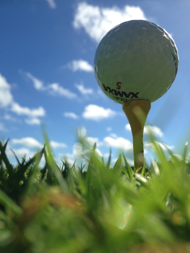 golf, field, white, ball, day, 2K, plant, land, beauty in nature, sky, cloud - sky, no people, surface level, grass, tree, growth, green color, close-up