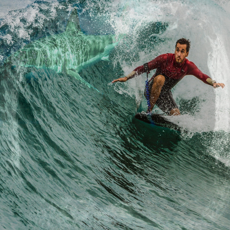 ocean, outdoors, splashing, exotic, coral, fish, landscape, travel, sea, holiday, marine, one person, surfing, natural, shark, animal, stocked, men, wave