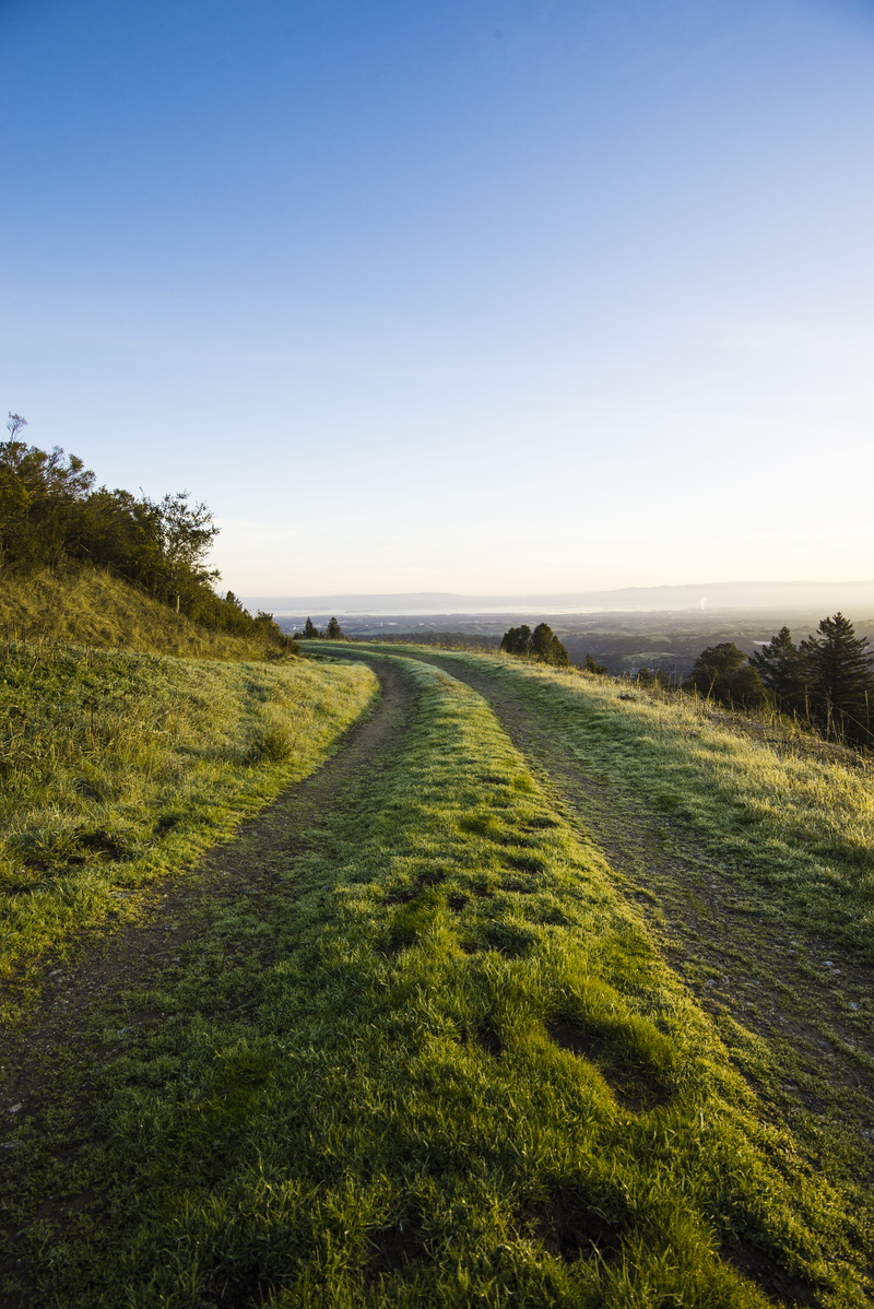 no people, hiking, green, environment, sunrise, trees, light, hike, plant, sky, clear sky, tranquility, beauty in nature, 5K, portola valley, background