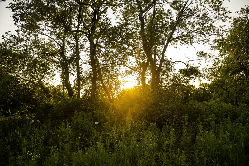 springtime, green Color, landscape, state, no People, scenics, beauty In Nature, light - Natural Phenomenon, plains, sky, growth, cross, sunset, grass