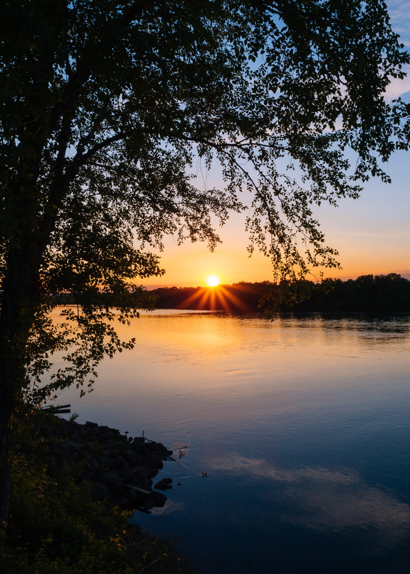 silhouette, reflection, lens flare, sun, united states, sun flare, sky, midwest, landscape, 5K, beauty in nature, idyllic, tree, calm, tranquility, nature