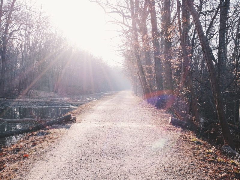light, footpath, rockville, sunrise, dc, diminishing perspective, woodland, outdoors, direction, morning, c and o canal association, united states, transportation