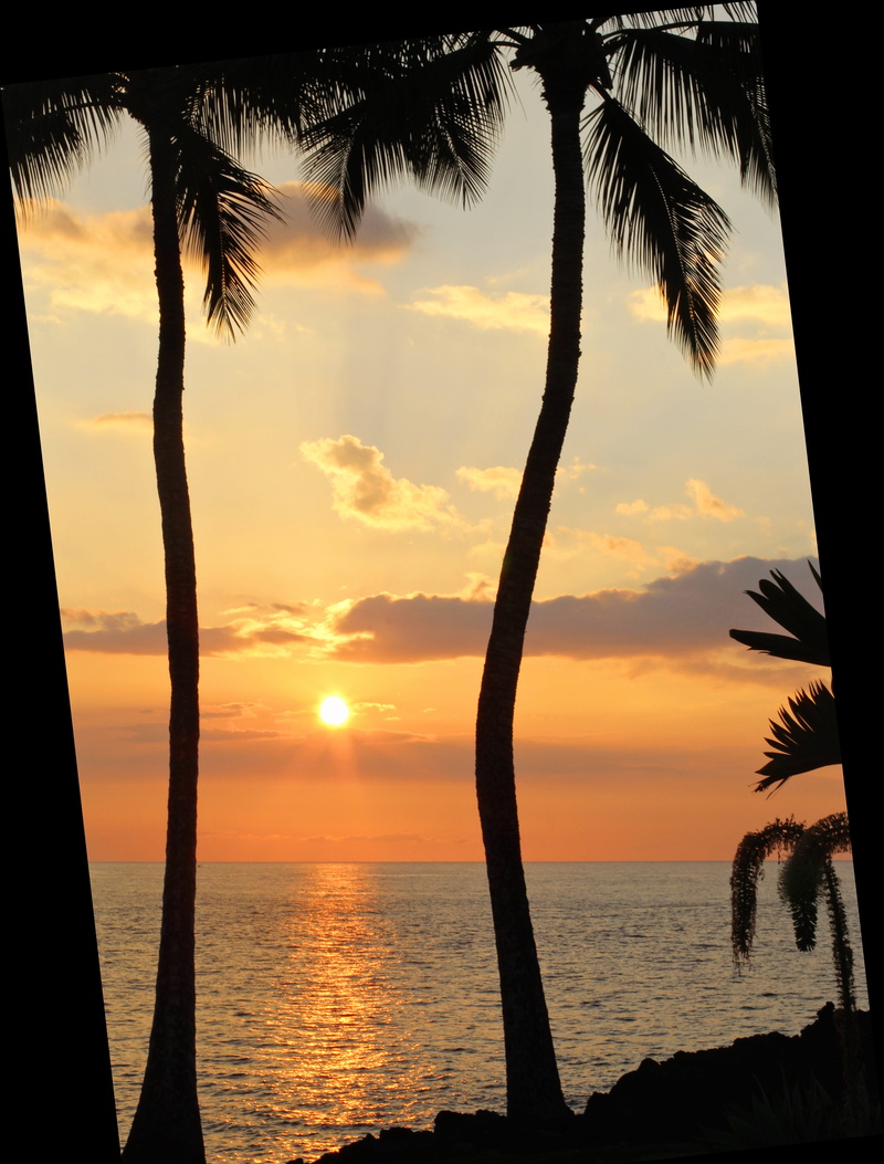 palm tree, near, island, hawaiian sunset, coast, wave, summer, beauty in nature, beach, horizon over water, tranquility, tranquil scene, landscape, the big island