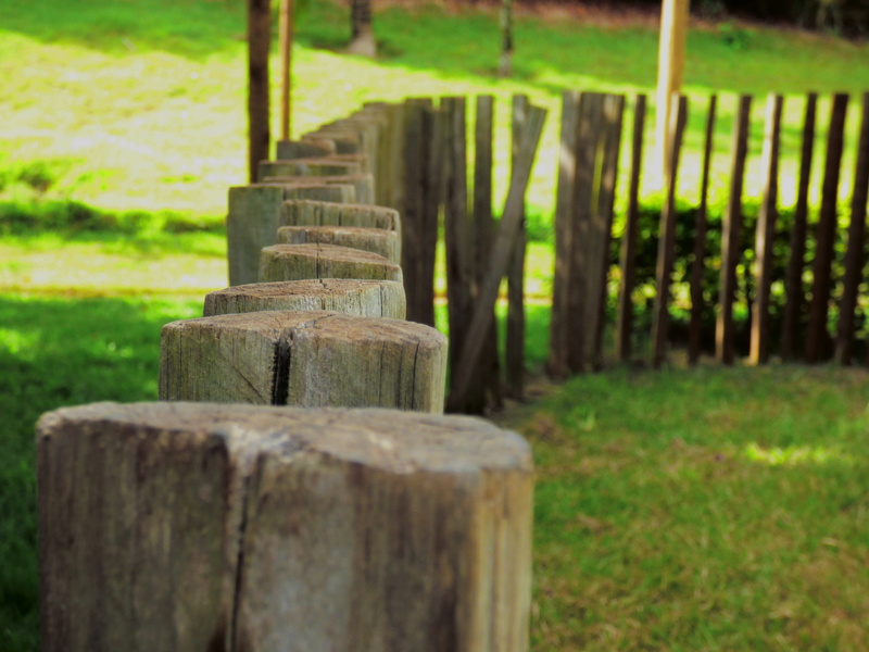 grass, passion, flying, flower, metal, sol, mato, Nature, barrier, greens, in a row, green color, stone, old tree, trunk, romantic, 4K, wooden post, forest
