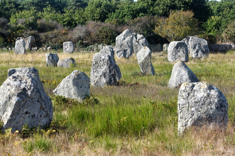 rock - object, tree, funerary, france, grass, the past, solid, menhirs, carnac, rock, stone, plant, 5K, land, tranquility, neolithic, tranquil scene, nature