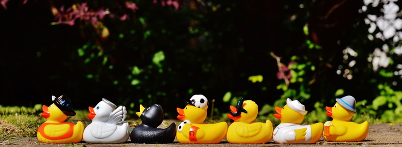fun bathing, animal, order, ducklings, squeak duck, black, close, no people, in a row, toy, multi colored, outdoors, figurine, bath ducks, daytime, yellow