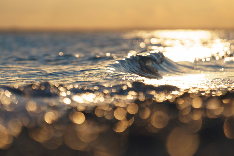 no people, sea, beach, day, beauty in nature, bokeh, selective focus, land, purity, animal, waves, 1080P, nature, depth of field, tranquility, motion