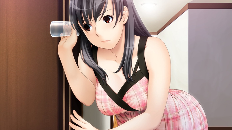 adult, lifestyles, home interior, curious, door, brunette, black, obscured face, character, clothing, haired, anime, glass, sister scheme 2