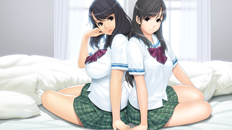 d, abstract, sister, hd, misaki, brunettes, scheme, game, seifuku, cg, x, yanagawa, amane, art, 1080P