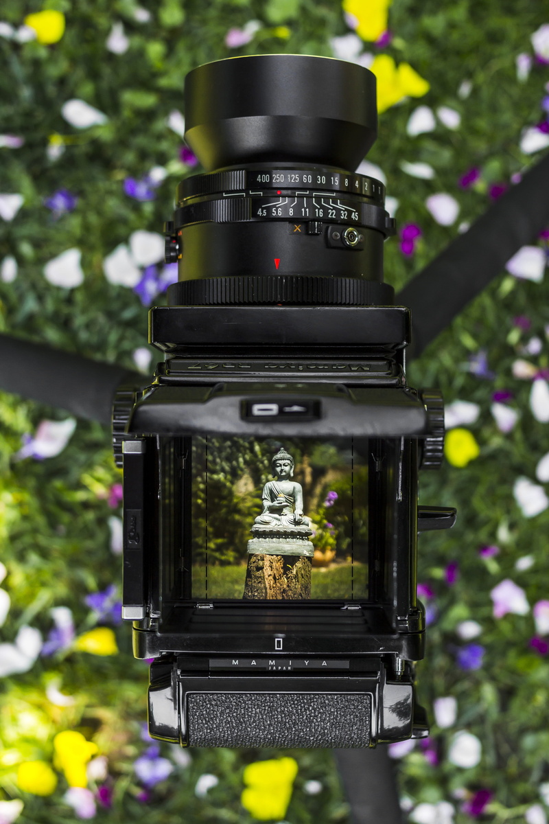 camera - photographic equipment, day, 6x7, religion, close-up, spirituality, medium format, camera, architecture, tranquility, zen, flowering plant, symbol
