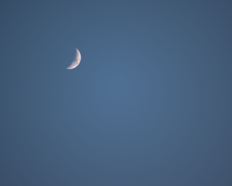 sliver, crescent, tranquil scene, beauty in nature, half moon, eclipse, outdoors, low angle view, astronomy, planetary moon, ocean, coast, minimal, scenics - nature