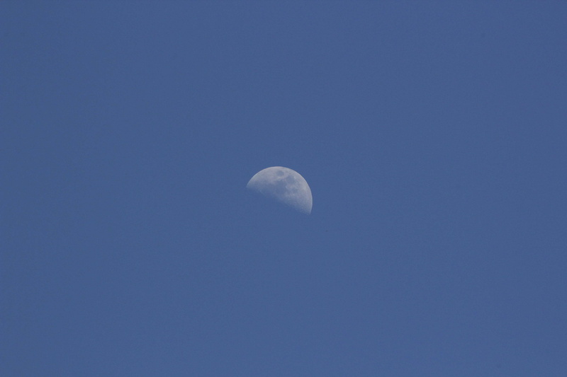 4K, astronomy, day, planetary moon, no people, copy space, moon, tranquility, space and astronomy, luna, low angle view, clear sky, scenics - nature, beauty in nature