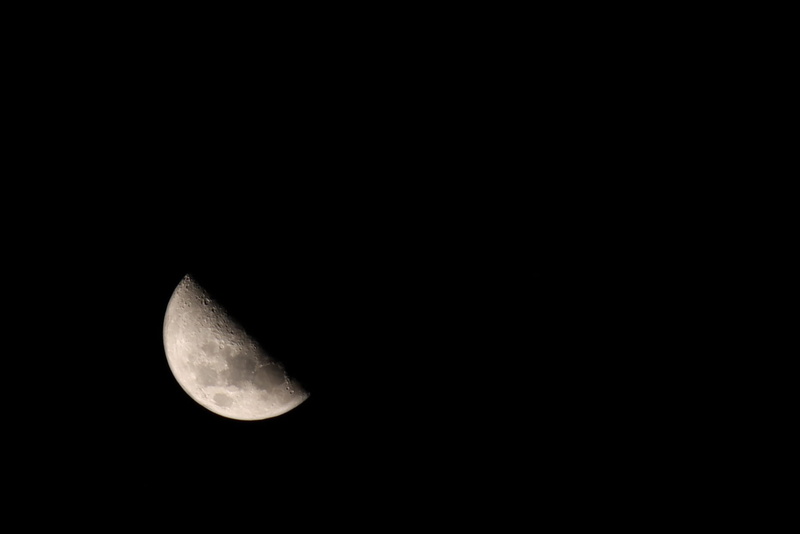 half-moon, space and astronomy, moonlight, low angle view, astrology, moon Surface, idyllic, space, evening, no people, beauty in nature, black background