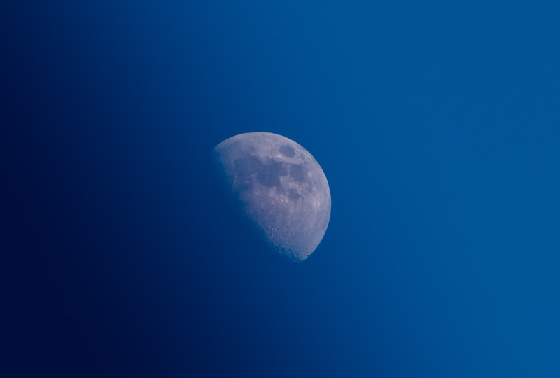 low angle view, space, tranquil scene, outdoors, 1080P, nature, half moon, clear sky, copy space, sky, Moon, astronomy, blue, moon surface, beauty in nature