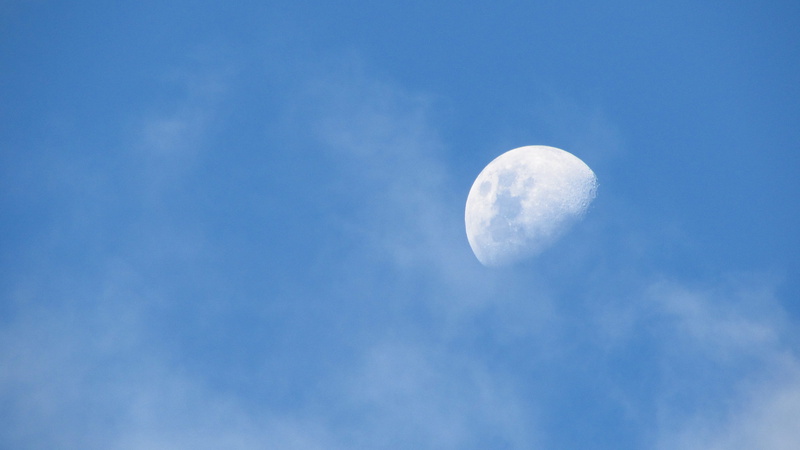moon, white color, astrology, cloud, no people, night, full Moon, moonlight, beauty in nature, angle, outdoors, low, astronomy, halfmoon, space, half, photo