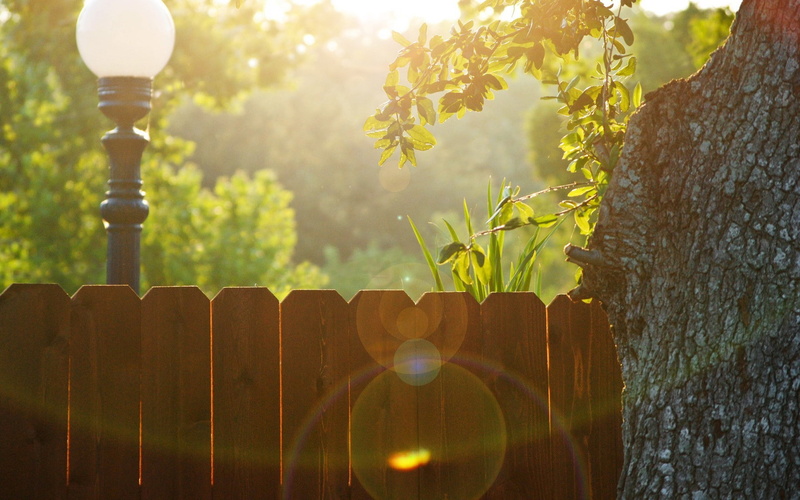 trees, 1080P, fence, sunlight, lens flare, street light