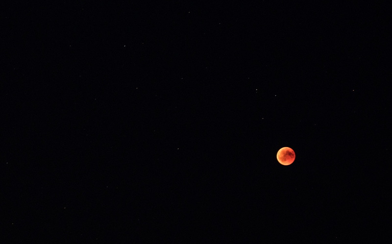 copy space, moon, night, tranquil scene, nature, space, orange color, eclipse, no people, idyllic, tranquility, astrology, beauty in nature, outdoors, natural phenomenon