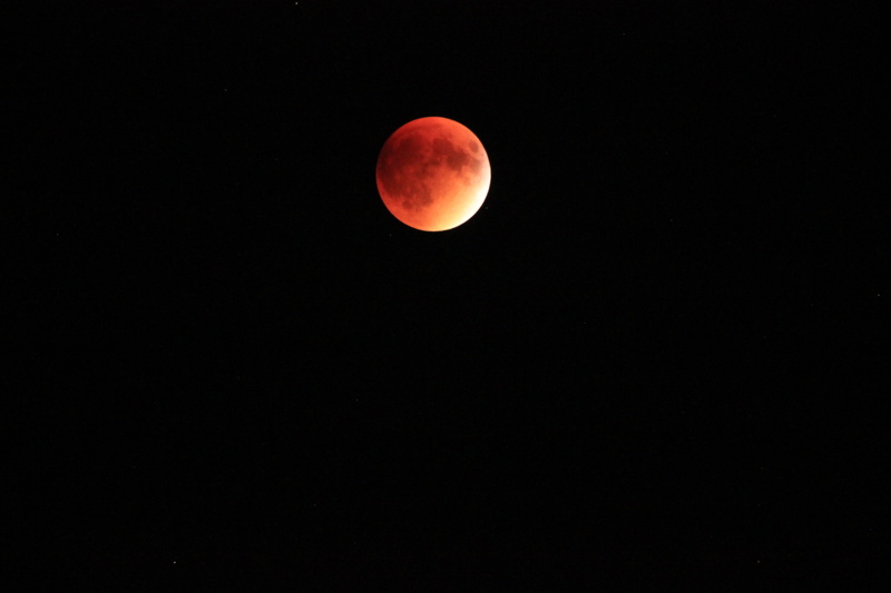 moon, full moon, shape, space and astronomy, no people, nature, moonlight, majestic, space, geometric shape, beauty in nature, Blood Moon, Night, scenics - nature
