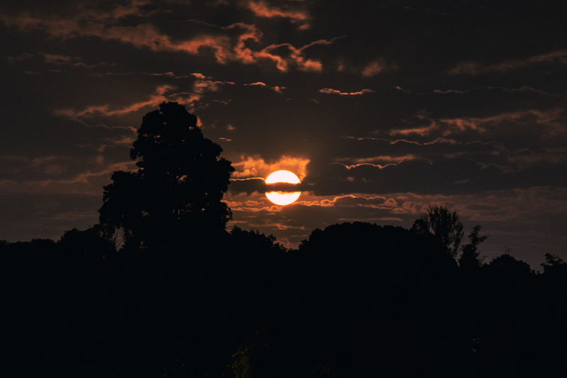 super, moonset, giant, nature, non-urban scene, night, growth, tranquility, tree, landscape, blood, moon, dusk, 4K, no people, cloud, bloodmoon, idyllic