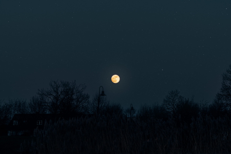 tree, idyllic, tranquil scene, moon, universe, dark, shoreline, full moon, beauty in nature, silhouette, plant, astronomy, planetary moon, night, water