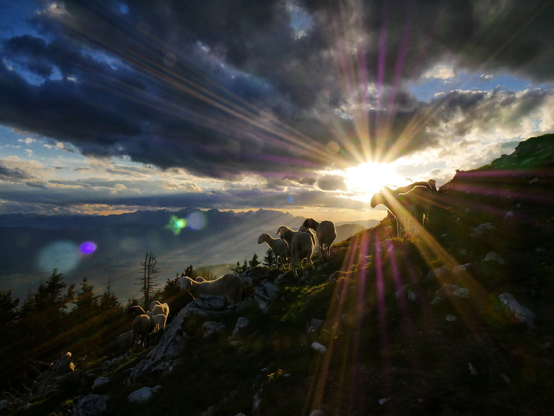 4K, scenics - nature, paradise, sunbeam, landscape, shepherd, streaming, tranquil scene, water, shepard, tranquility, outdoors, sun, clouds, no people