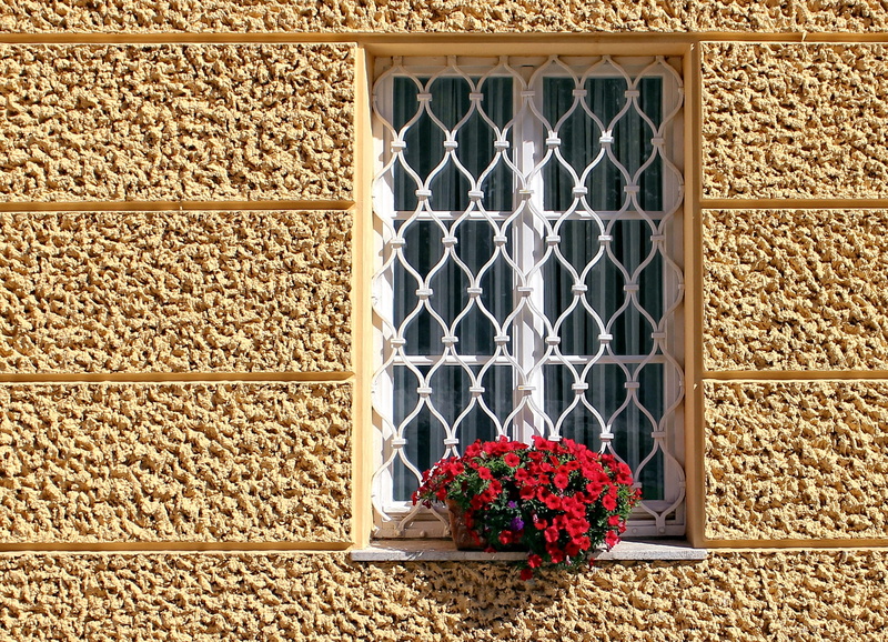 Grilles, wall - building feature, built structure, climber, Grid, flowering plant, hauswand, 1080P, window grate, plant, metal, deco, potted plant, building