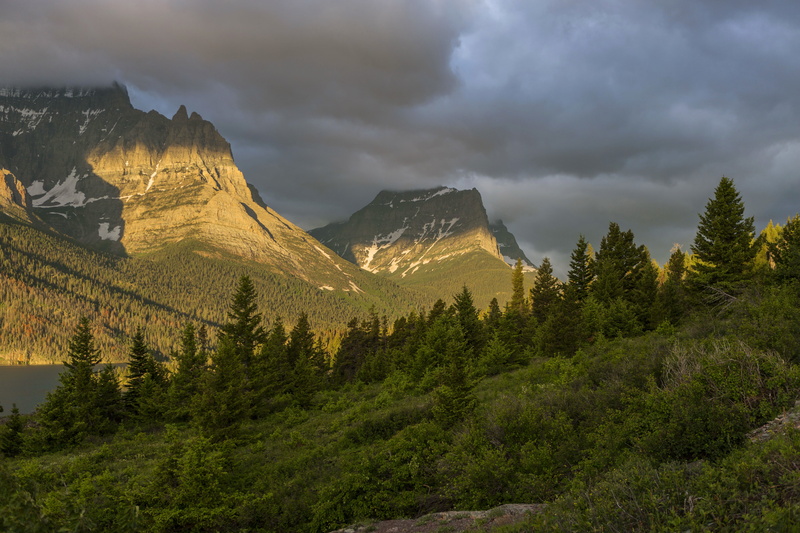 forest, landscape, plant, brown, no people, outdoors, green color, coniferous tree, mountain peak, environment, snowcapped mountain, tree, nature, cloud - sky