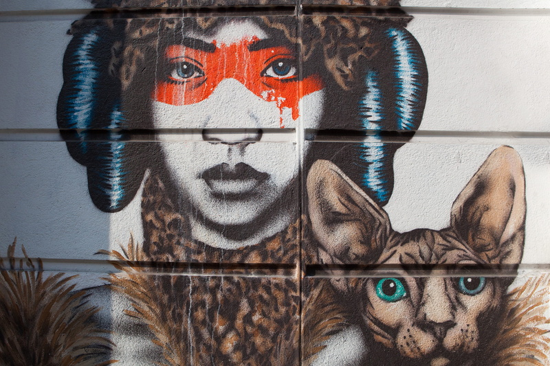 animal themes, front view, street Art, street, feline, looking at camera, representation, animal, portrait, urban, day, creativity, indoors, pets, art and craft