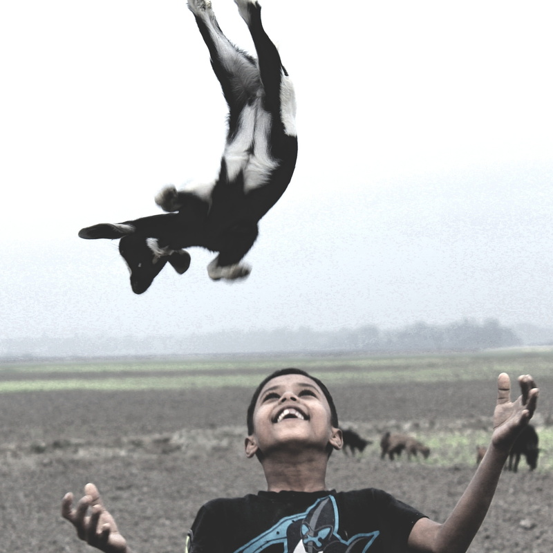 men, Throw, lifestyles, vertebrate, mid-air, flying, portrait, 2K, Bangladesh, adult, young adult, day, smiling, headshot, only women, nature, Love, land