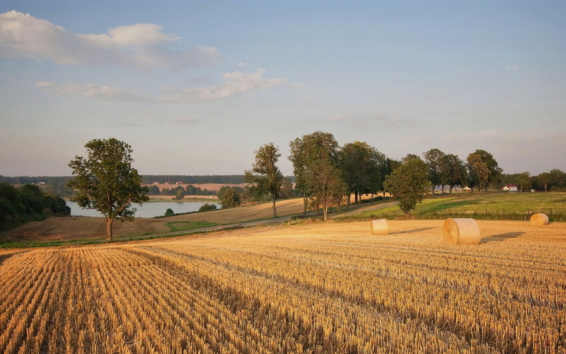agriculture, environment, land, cloud - sky, 1080P, landscape, road, stubble, nature, sky, day, field, plant, scenics - nature, tranquil scene, outdoors
