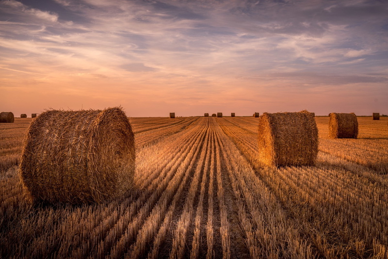 stubble, the stubble, harvesting, 1080P, field, rolls