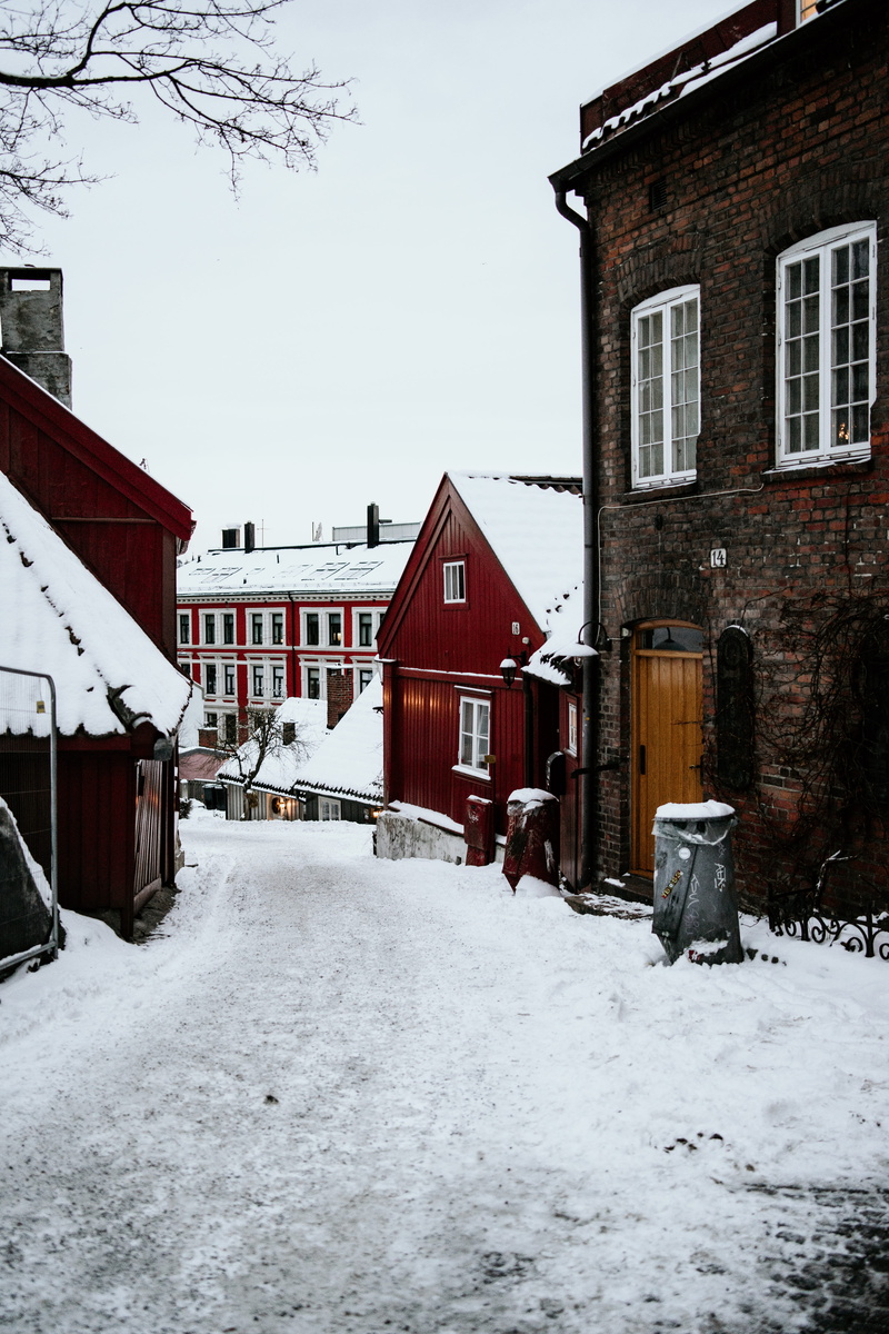 oslo, built structure, weather, sunset, white color, house, market, houses, day, city, red, residential district, outdoors, shelter, sky, parka, snowing
