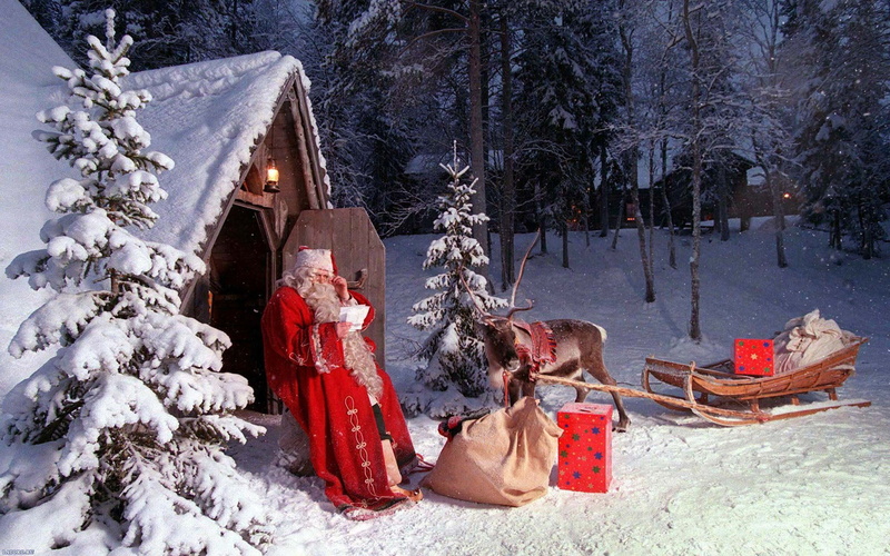 frozen, Santa Claus, cold - Temperature, winter, lifestyles, land, deer, beauty in nature, playing, day, field, new year, white, digital, child, nature