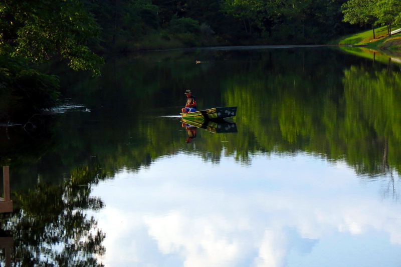nature, scenery, retirement, people, images, fishing, 4K