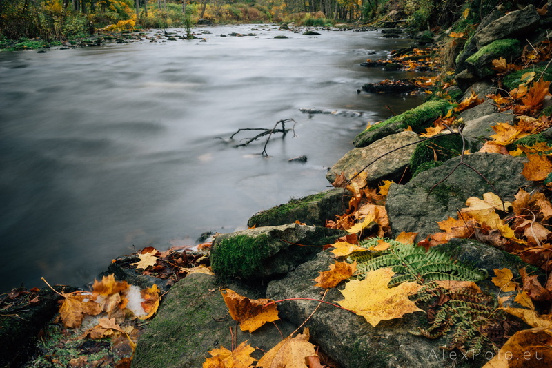 no people, 500px, change, 1080P, Alex Polo, moss, landscape, solid, motion, plant part, fall, rock, tree, flowing, outdoors, day, plant, colorful, tranquility