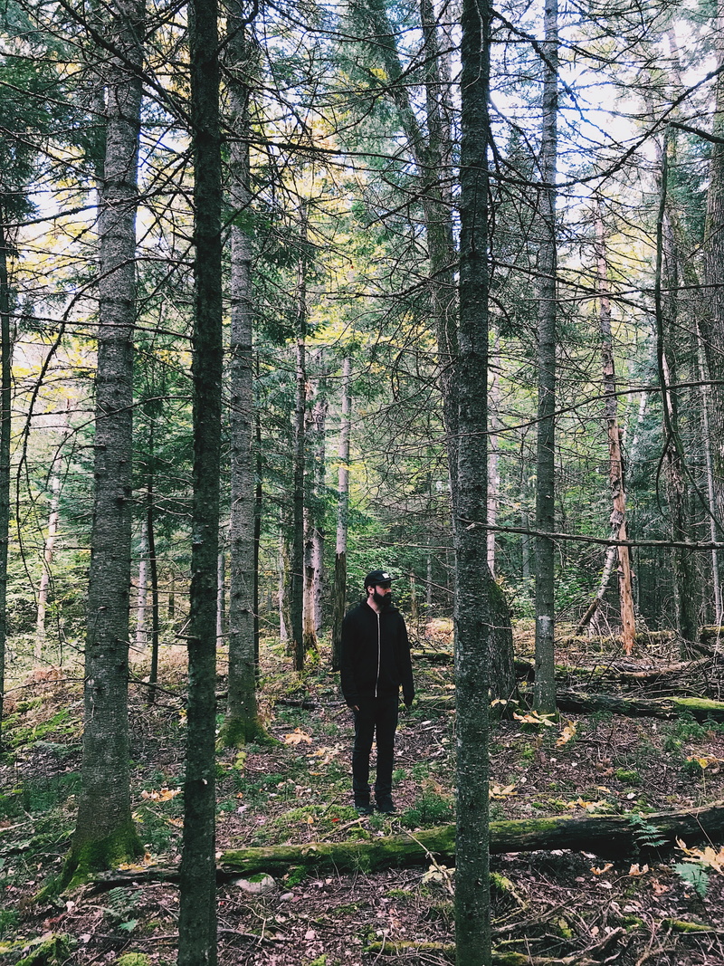 leisure activity, harrington, real people, growth, trunk, 23 chemin du lac fawn o, tranquility, rear view, woodland, tree trunk, walking, standing, one person