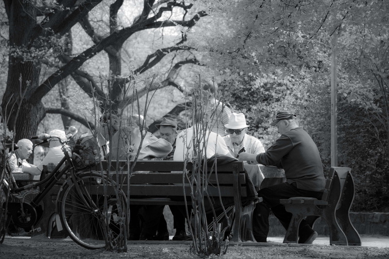 outdoors, park, friends, plant, land vehicle, day, transportation, mode of transportation, adult, sitting, group, tree, grandparents, nature, people, real people