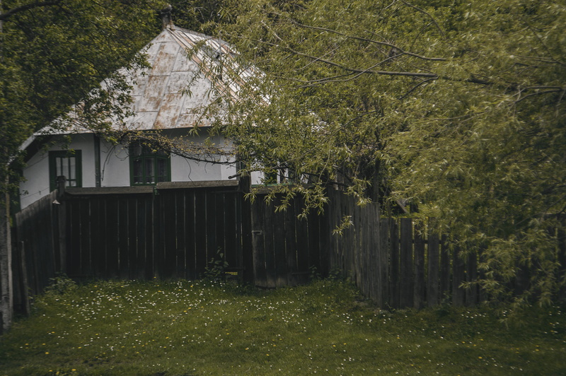 building exterior, nature, village, grandparents, architecture, built structure, păiseni, branch, waterfront, story, water, tree, day, house, forest, grass