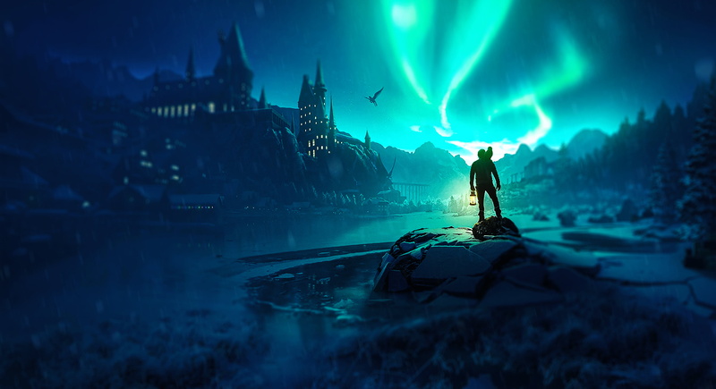 Harry Potter and the Half-Blood Prince, Harry Potter and the Order of the Phoenix, Hogwarts, Harry Potter and the Deathly Hallows, movie poster, Harry Potter and the Chamber of Secrets