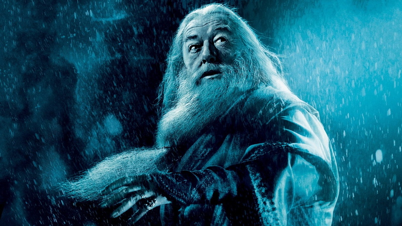 ape, long hair, primate, Harry Potter, gorilla, dark, hair, anger, portrait, animals in the wild, Harry Potter and the Half-Blood Prince, contemplation